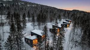 A row of warmly lit cottages in a snowy woodland