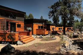 Timber cabins nestled in a pine setting